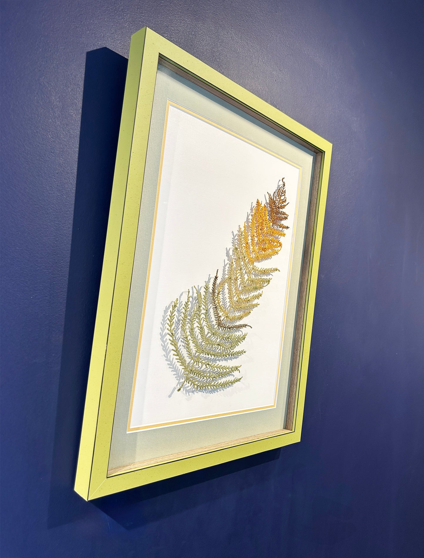 Fern Symphony (DJ 003)