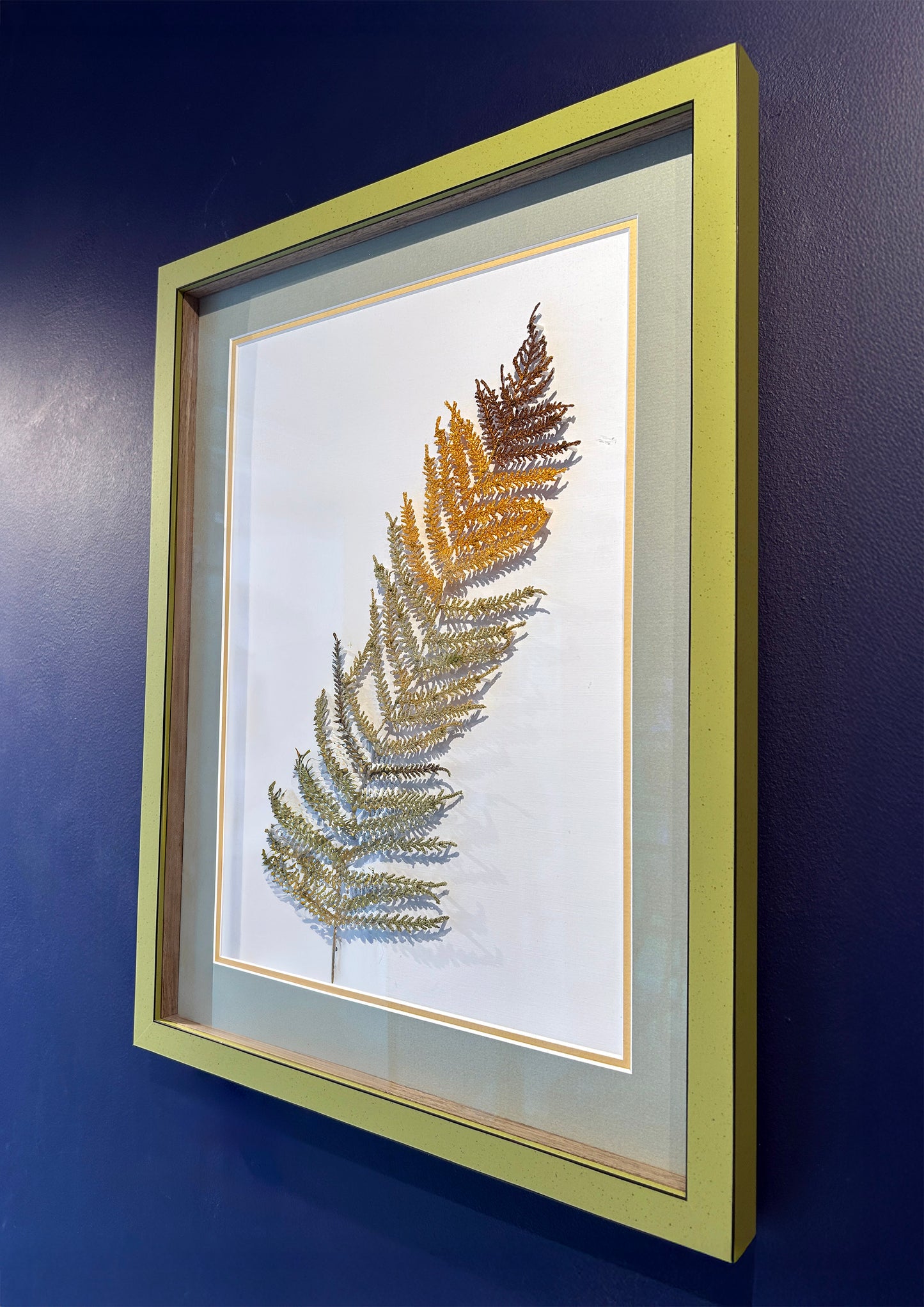 Fern Symphony (DJ 003)