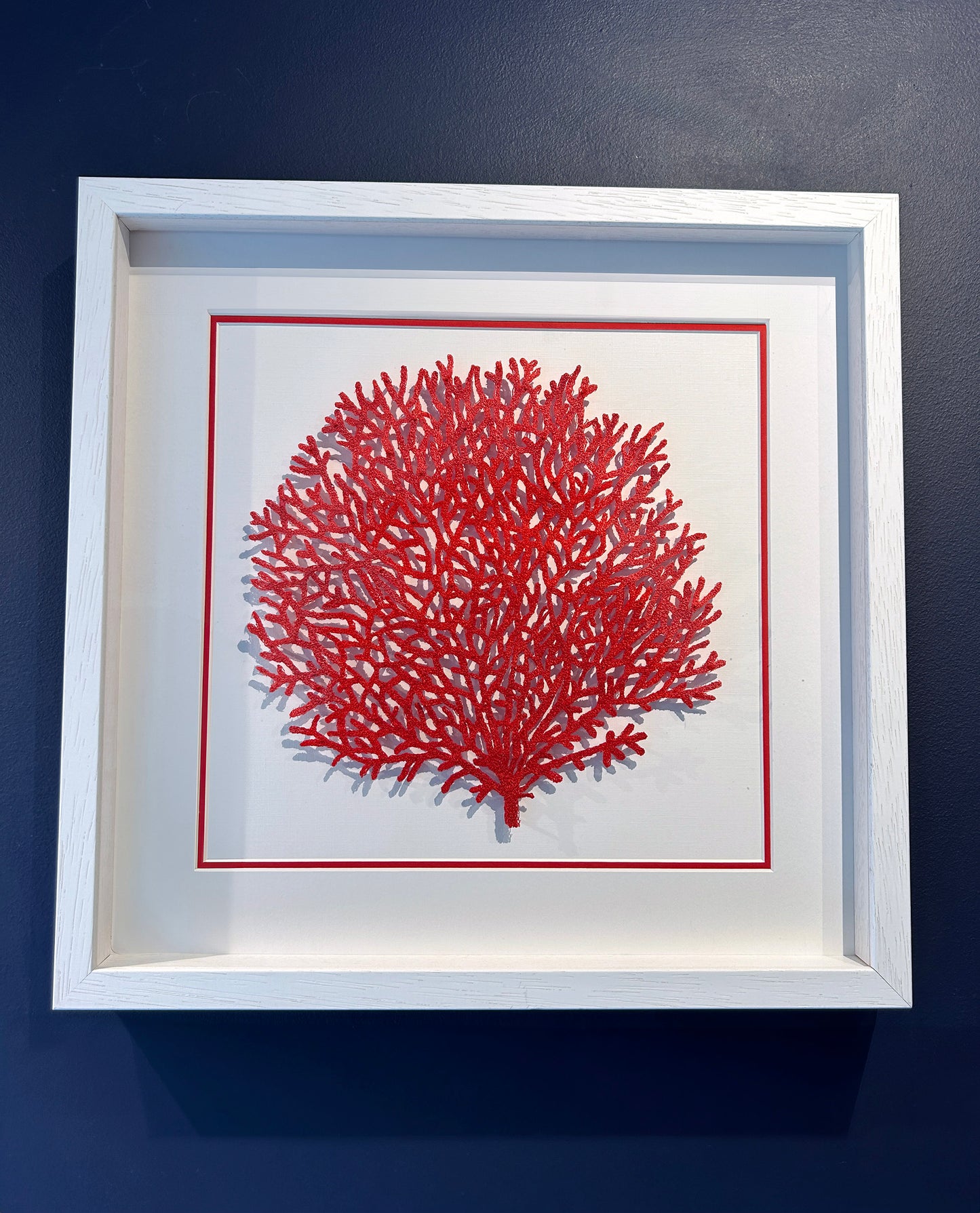 Crimson Coral Bloom (DJ 007)