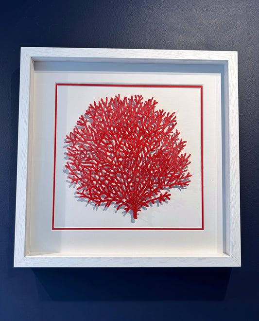 Crimson Coral Bloom (DJ 007)