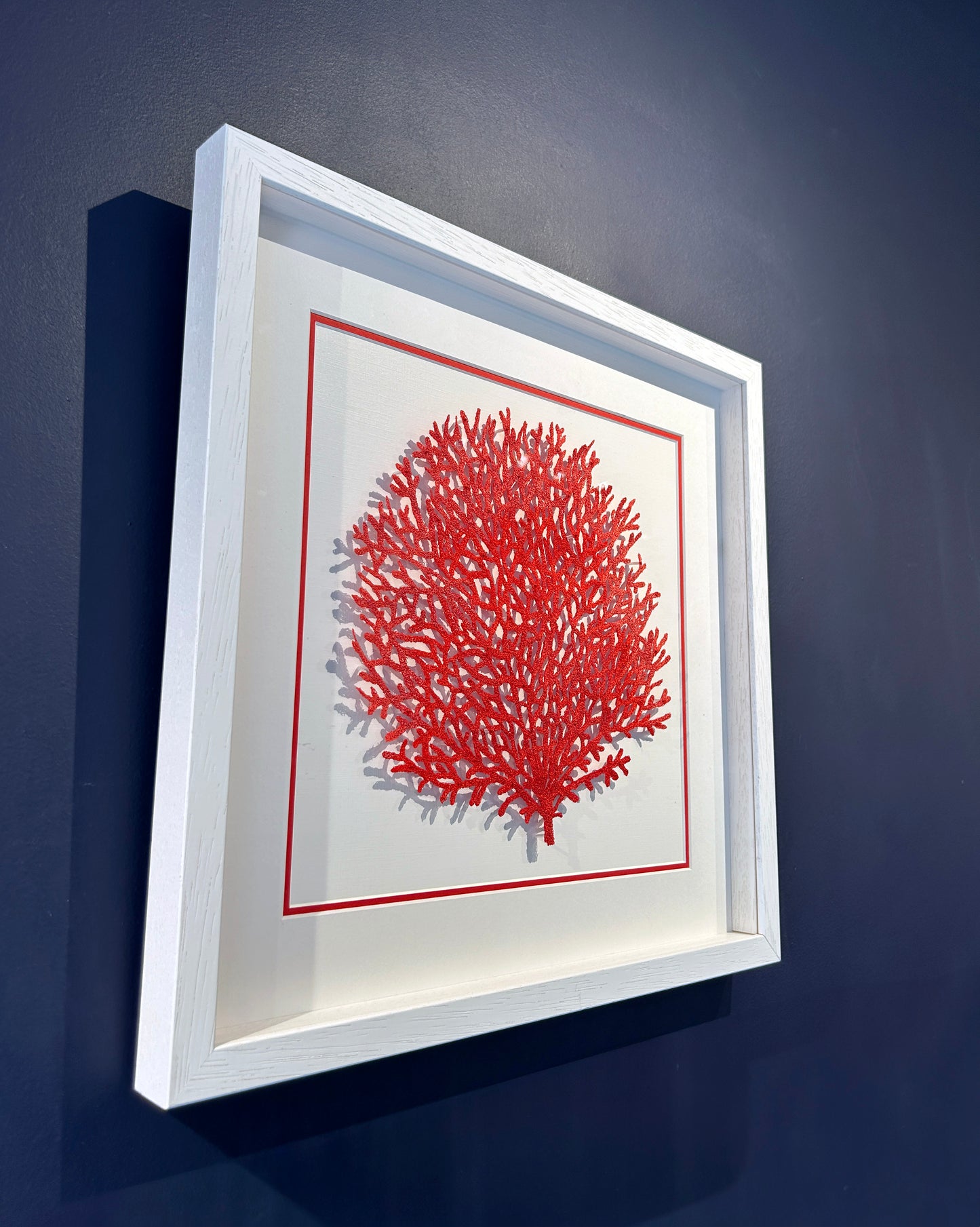 Crimson Coral Bloom (DJ 007)