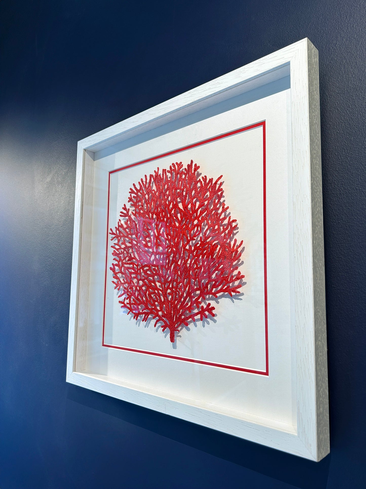 Crimson Coral Bloom (DJ 007)