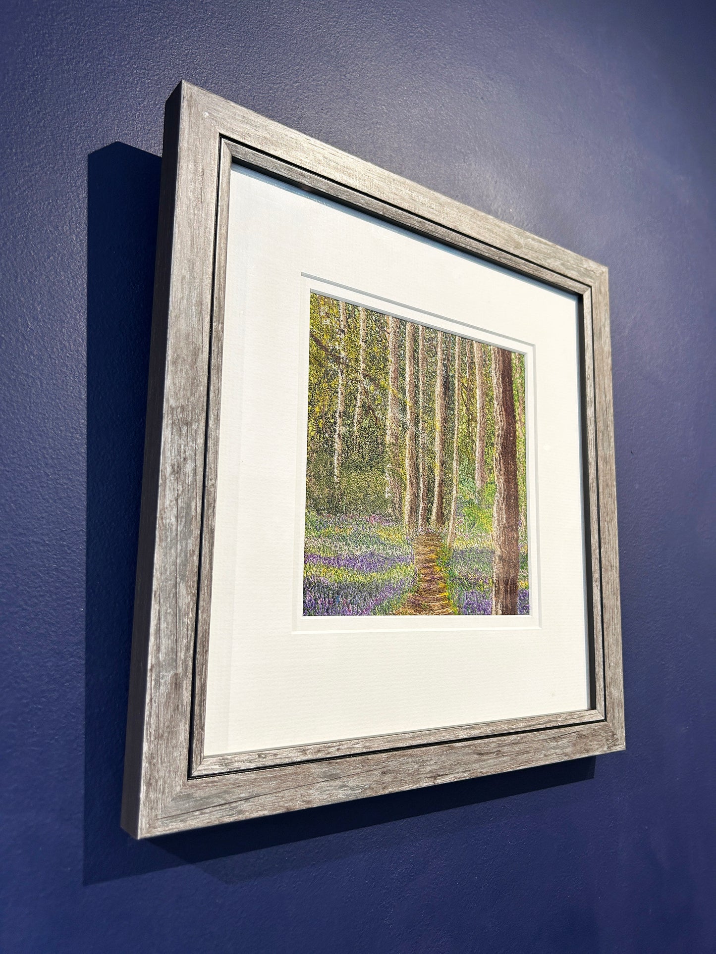 Path of Petals (DJ 010)