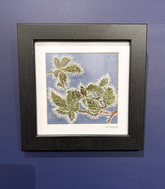 Frosted Bramble Leaves (DJ 017)