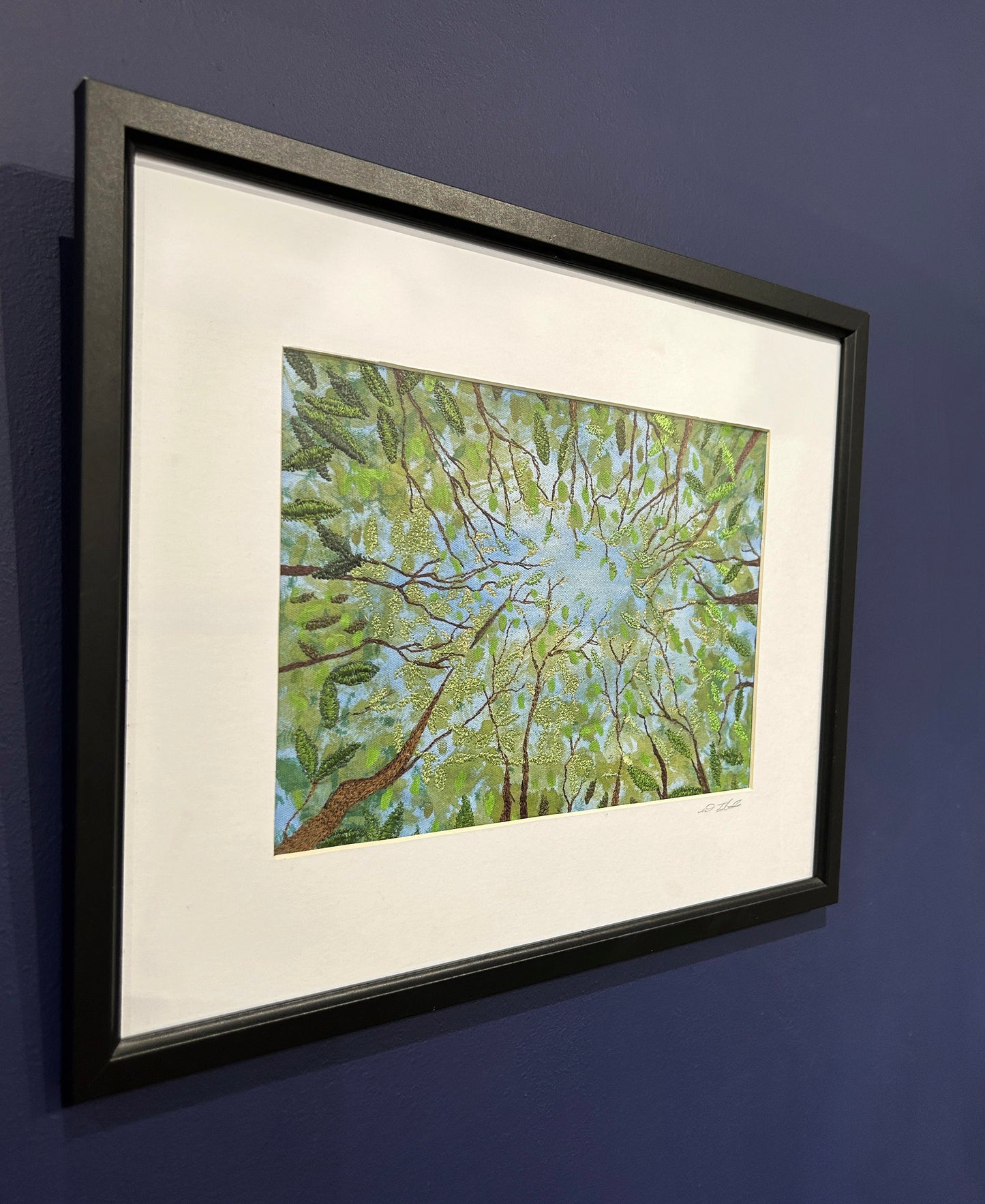 Canopy of Dreams (DJ 016)